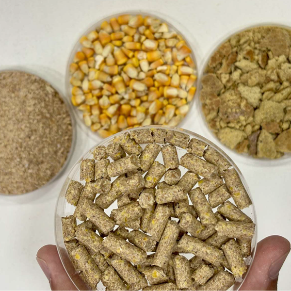nutrición_biosoya