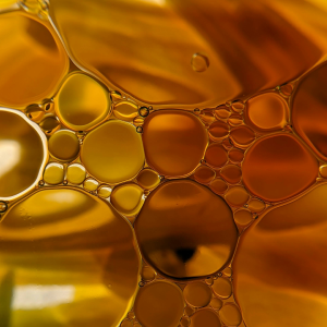 biosoya_aceitera